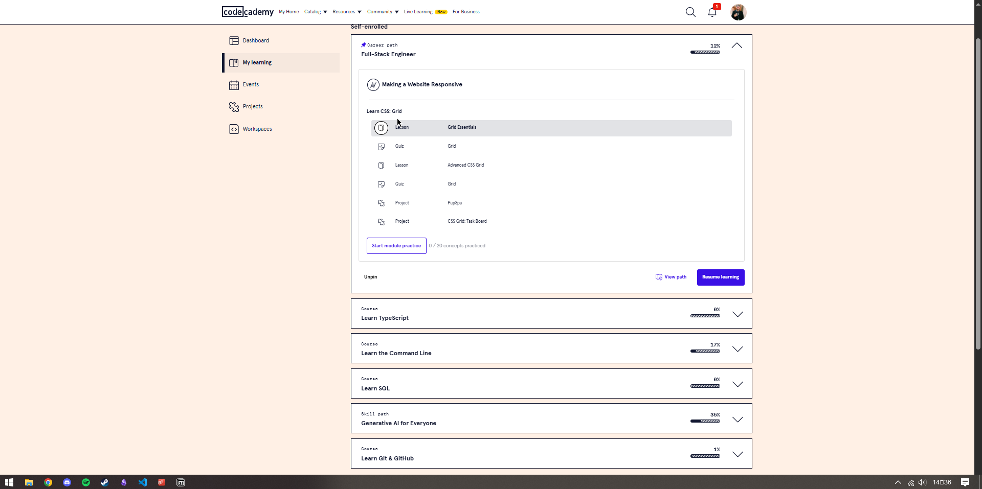 codeacademy learning interface